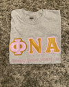 Phi Nu Alpha Logo Shirt