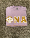Phi Nu Alpha Logo Shirt